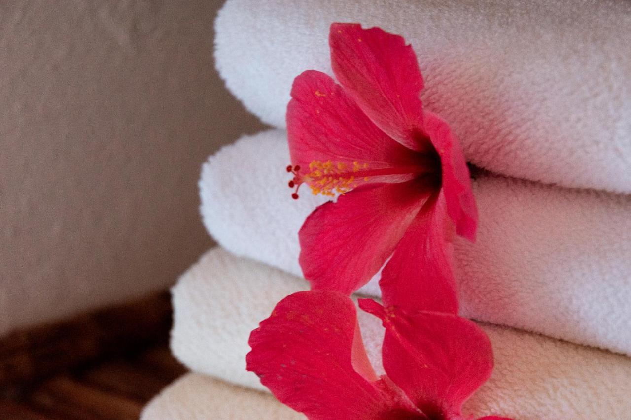 Hotel Casalina Palomino Kültér fotó