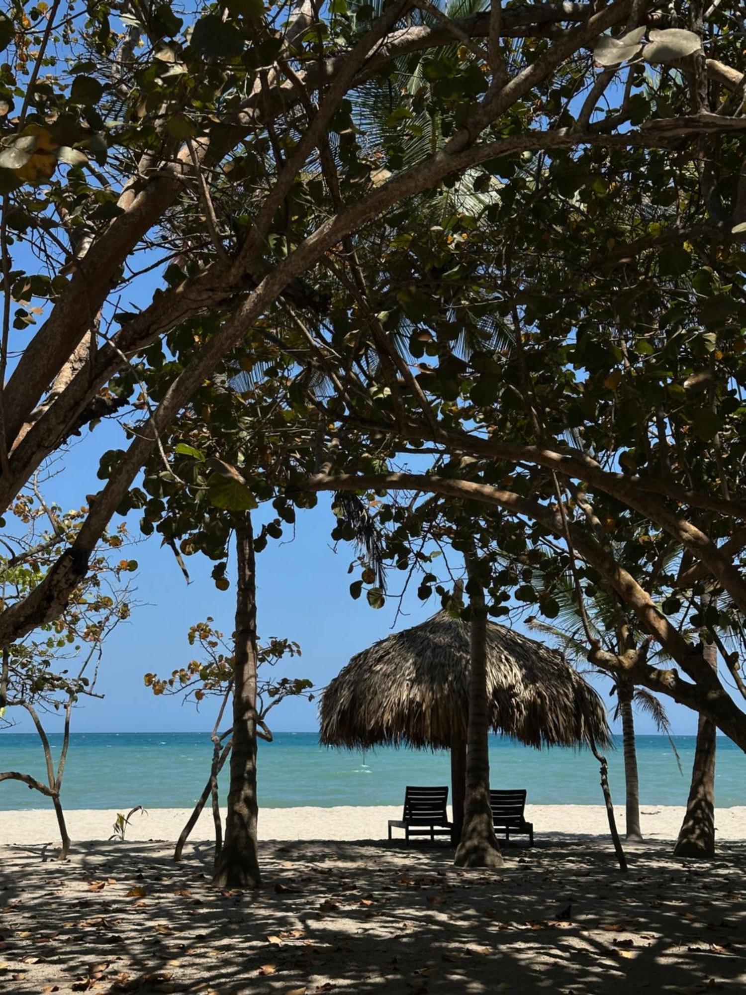 Hotel Casalina Palomino Kültér fotó